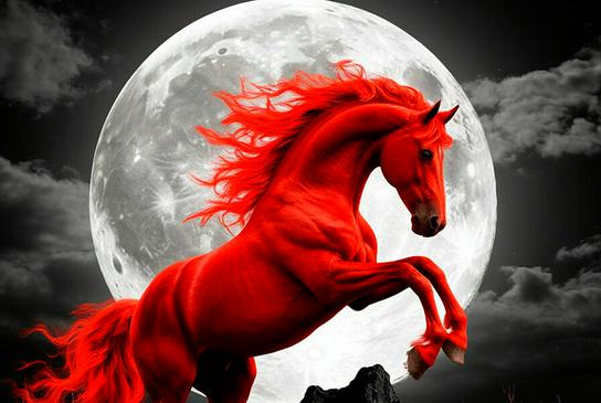 Fougueux, rouge et magnifique